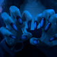 Black Aurora Nails